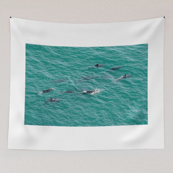 Item preview, Dolphins in the North Sea designed and sold by Mike Cave.