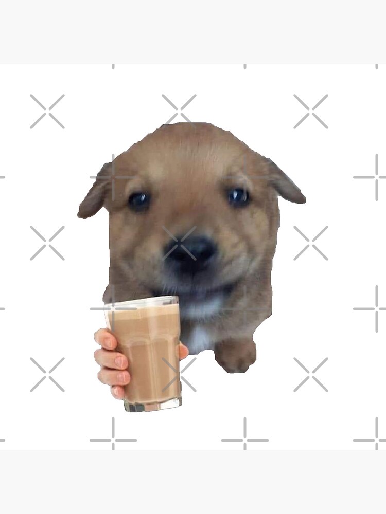 Dog drank chocolate milk best sale