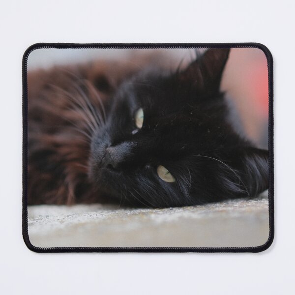 Item preview, Cute black Cat designed and sold by Excelsior--.