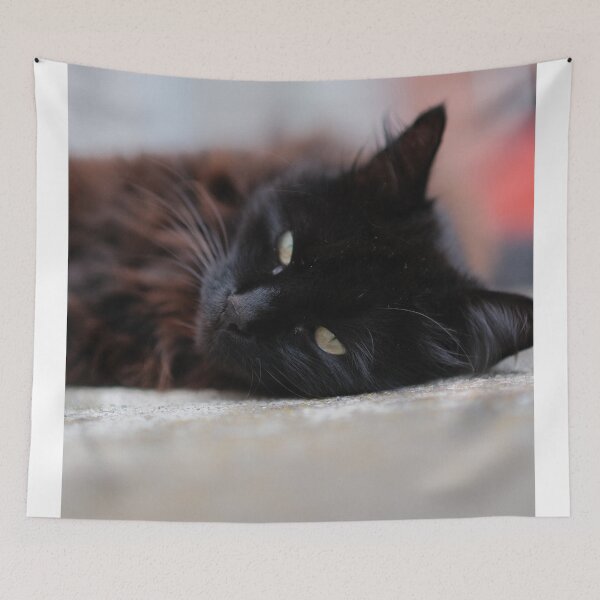 Item preview, Cute black Cat designed and sold by Excelsior--.