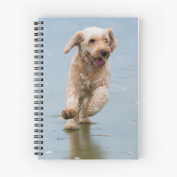 Item preview, Perro Spoodle designed and sold by Fishfacephoto.