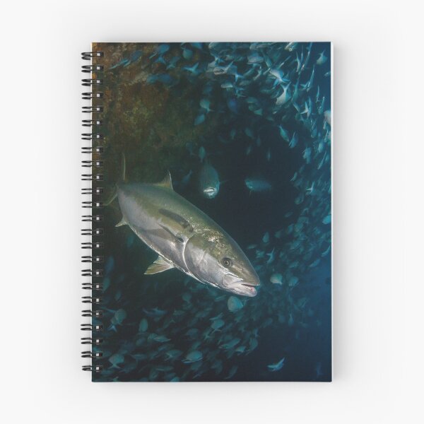 Item preview, Kingfish strike designed and sold by Fishfacephoto.