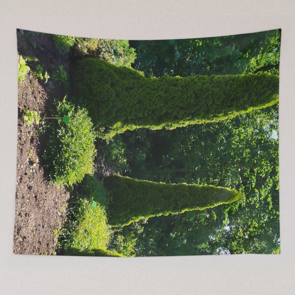 Item preview, Thuja occidentalis - Botanical Garden of the University of Wrocław. designed and sold by Santonix.