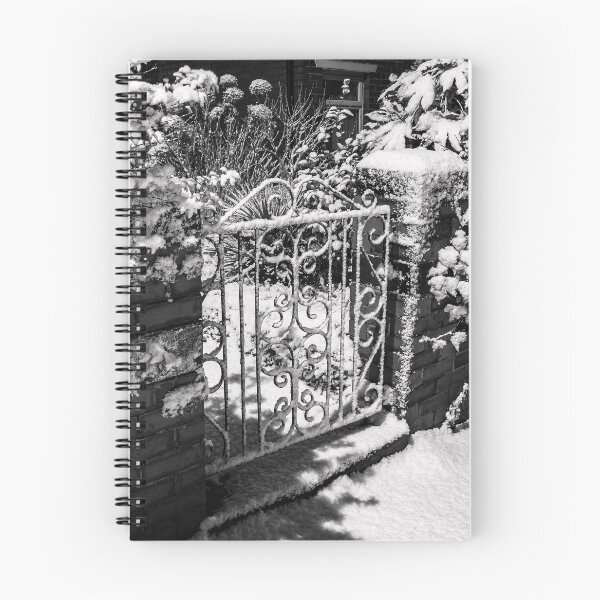 Artikelvorschau, Schneetor entworfen und verkauft von Paul Barnett.