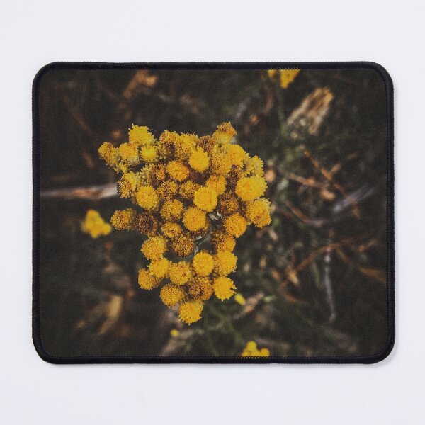 Item preview, Yellow flower designed and sold by Caitsphotos.