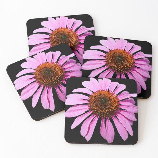 Item preview, Pink Echinacea Cone Flower - black background designed and sold by Louise-Mae.