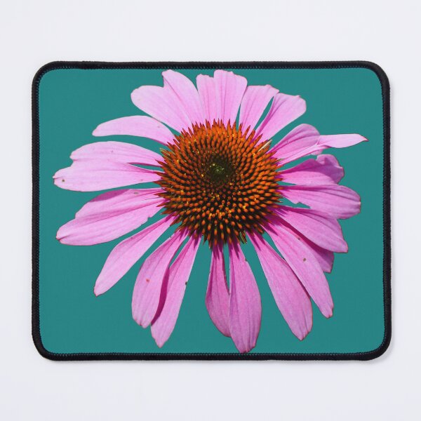 Item preview, Pink Echinacea Cone Flower - teal background designed and sold by Louise-Mae.