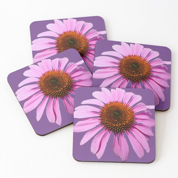 Item preview, Pink Echinacea Cone Flower - purple background designed and sold by Louise-Mae.