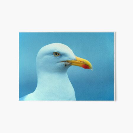Item preview, gull designed and sold by Zokakelt.
