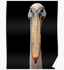Bill Poster