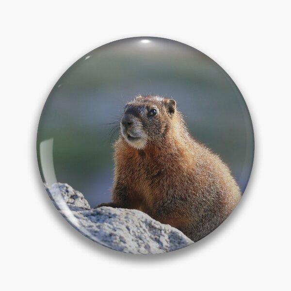 Item preview, Marmot watch designed and sold by zumi.