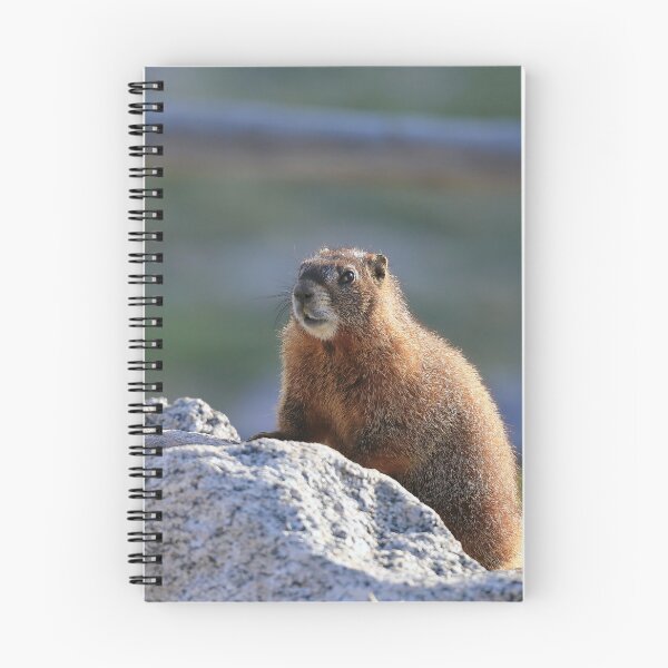 Item preview, Marmot watch designed and sold by zumi.