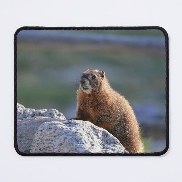 Item preview, Marmot watch designed and sold by zumi.