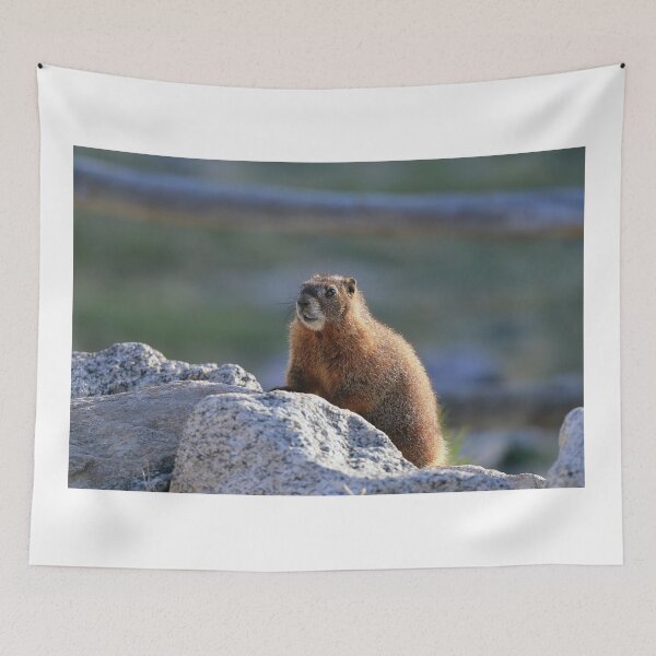 Item preview, Marmot watch designed and sold by zumi.