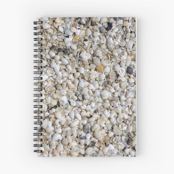 Item preview, Seashells on the Beach designed and sold by The Botanical Jason.