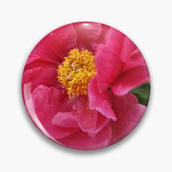 Item preview, Pink Peonies and White Fence designed and sold by Scott and Mary Schneider art_photography.