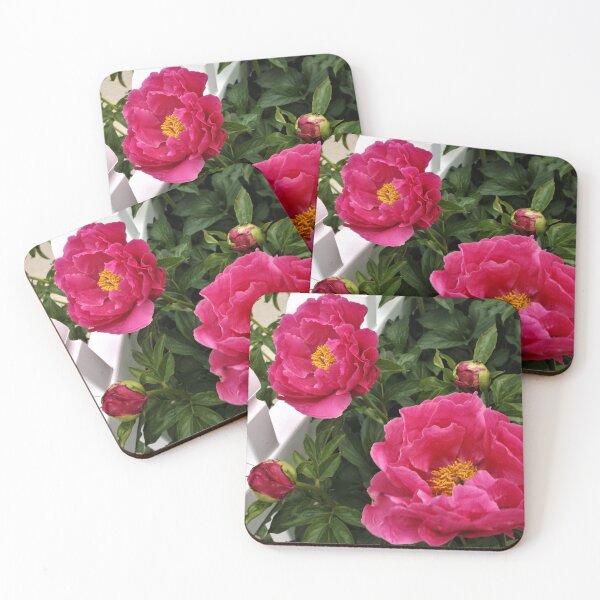Item preview, Pink Peonies and White Fence designed and sold by Scott and Mary Schneider art_photography.