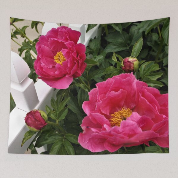 Item preview, Pink Peonies and White Fence designed and sold by Scott and Mary Schneider art_photography.