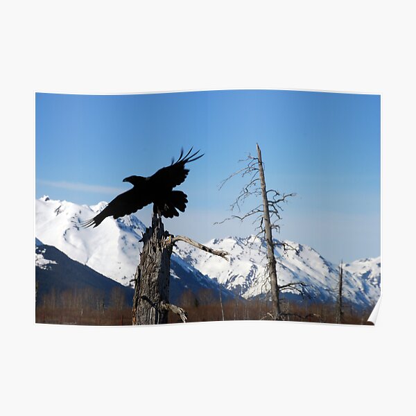 A place to Rest Poster
