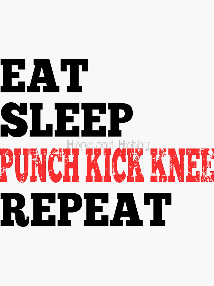 "Eat Sleep Punch Kick Knee Repeat Design for RPG Gamers" Sticker by