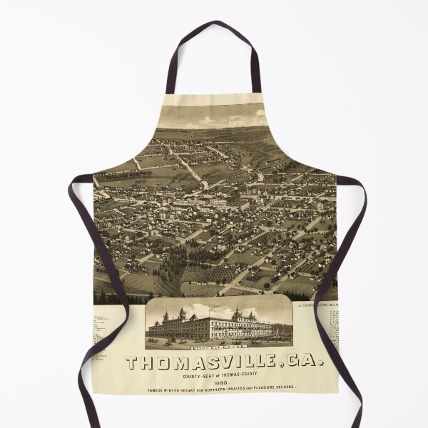 Item preview, Thomasville, Georgia (1885) designed and sold by allhistory.
