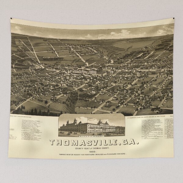 Item preview, Thomasville, Georgia (1885) designed and sold by allhistory.