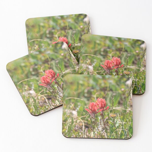 Item preview, Indian paintbrush designed and sold by zumi.