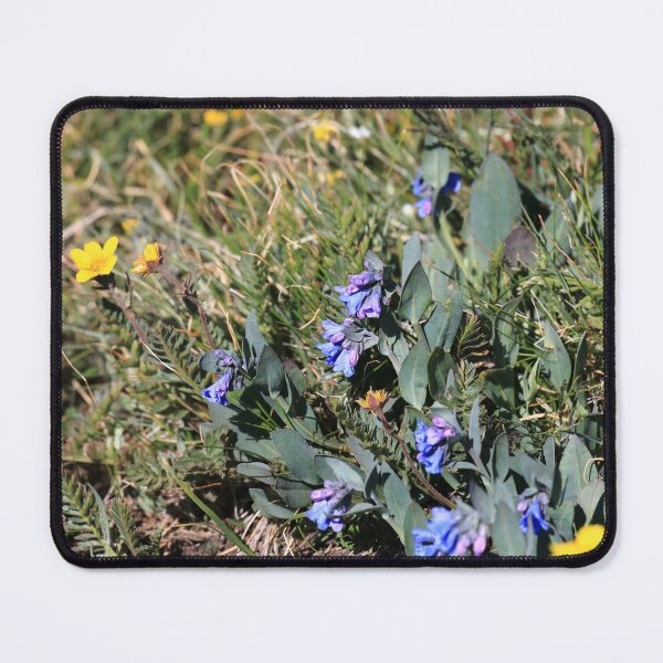 Item preview, Blue bell wildflowers designed and sold by zumi.