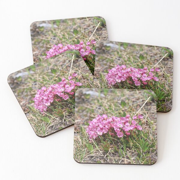 Item preview, Alpine Laure cluster designed and sold by zumi.