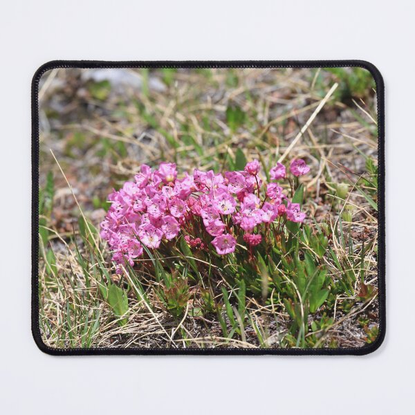 Item preview, Alpine Laure cluster designed and sold by zumi.