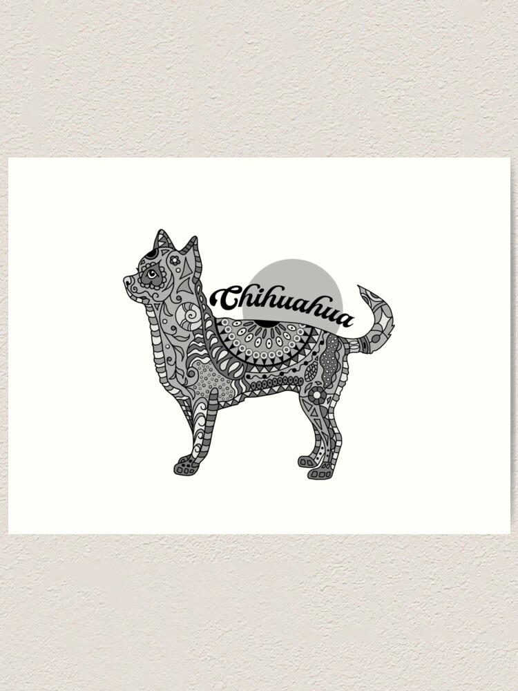 chihuahua doodle