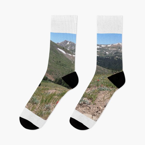 Item preview, Wildflowers on mountain side II designed and sold by zumi.