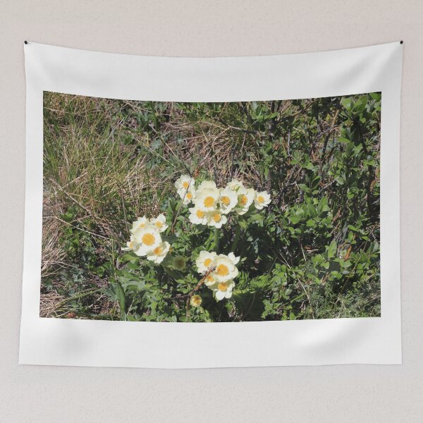 Item preview, White petals designed and sold by zumi.