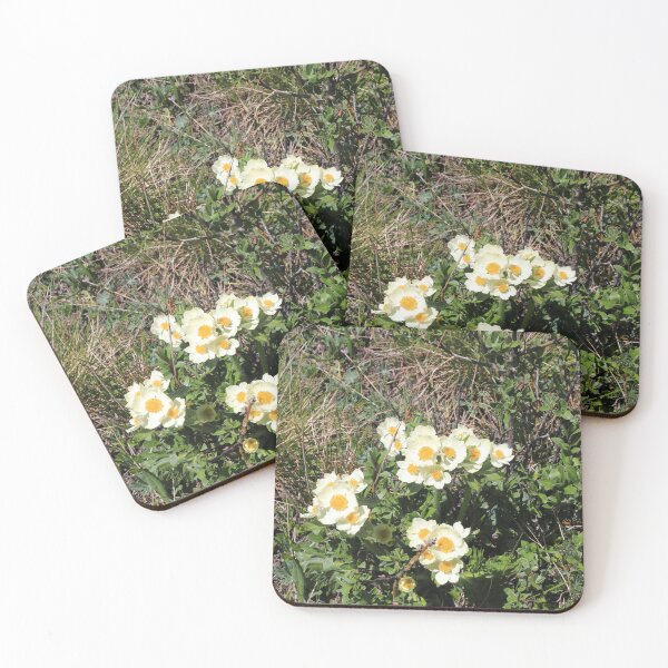 Item preview, White petals designed and sold by zumi.
