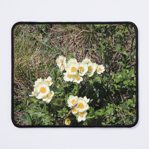 Item preview, White petals designed and sold by zumi.
