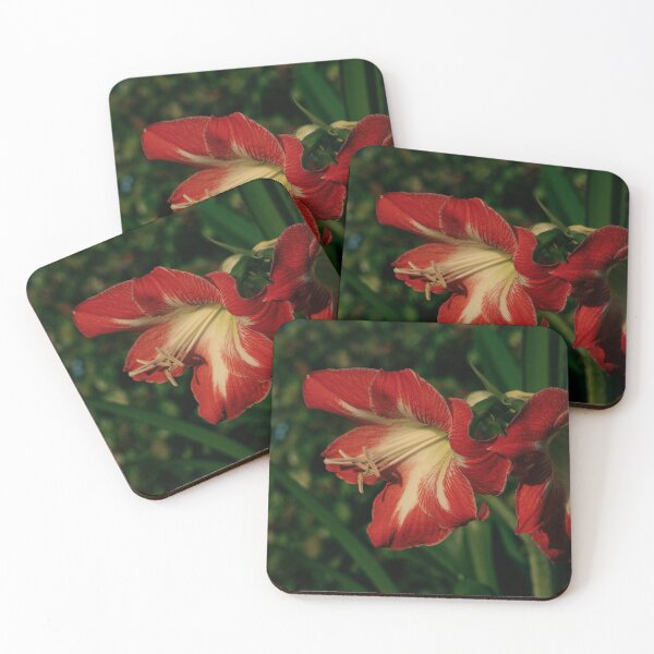 Item preview, Amaryllis Flowers designed and sold by TheeForestFox Shop.