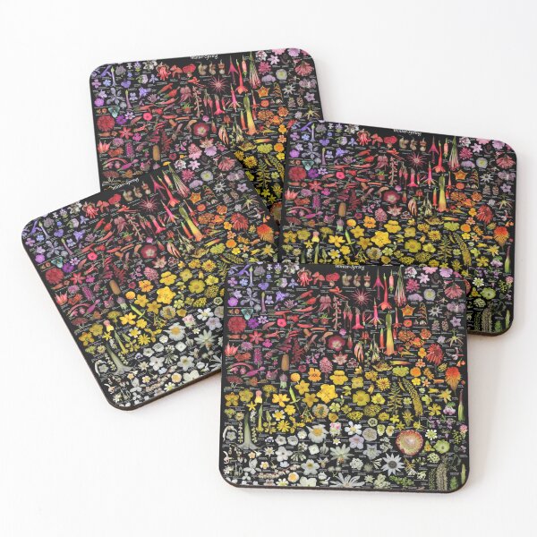 Item preview, Plants of SFBG - Winter-Spring designed and sold by Ricardo Kriebel.
