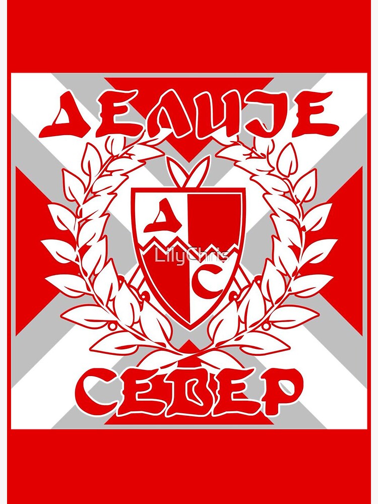 FK Crvena zvezda (@crvenazvezdafk) / X