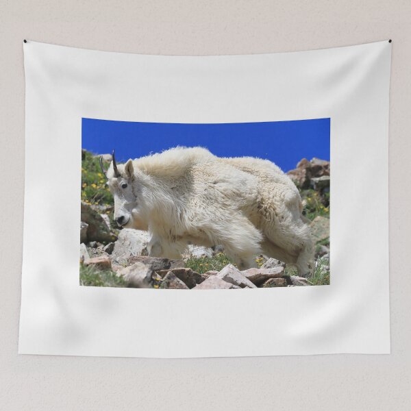 Item preview, Furry goat II designed and sold by zumi.