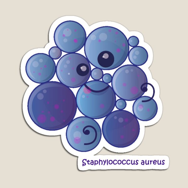 Staphylococcus aureus Magnet