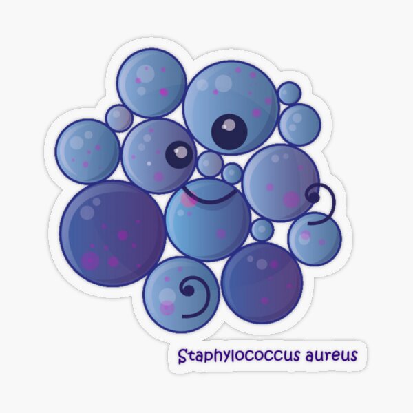 Staphylococcus aureus Transparenter Sticker