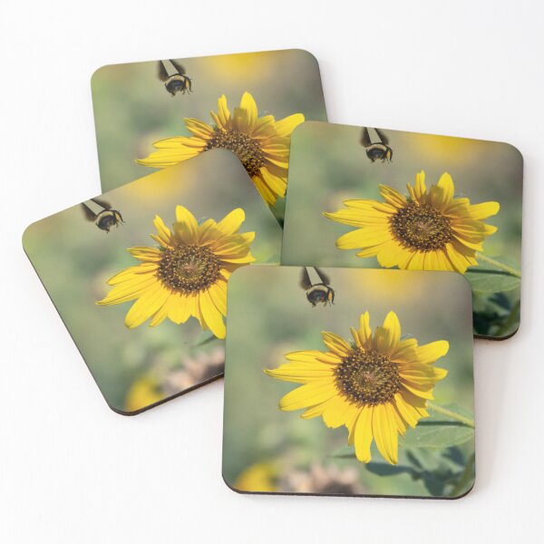 Item preview, Bumblebee flying over Sunflower on sunny morning designed and sold by Stretch Clendennen.