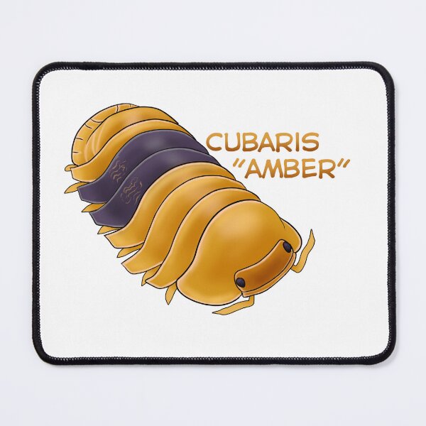 Item preview, Cubaris "Amber" name tag designed and sold by Pods-n-Pugs.