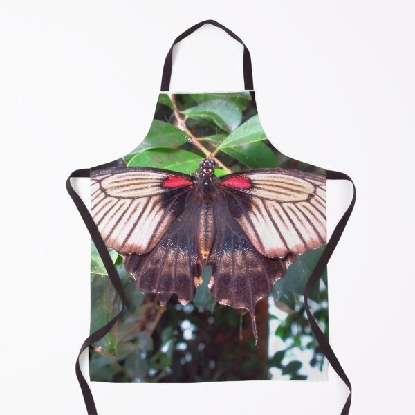 Item preview, Great Mormon Butterfly designed and sold by MartinPhotos.