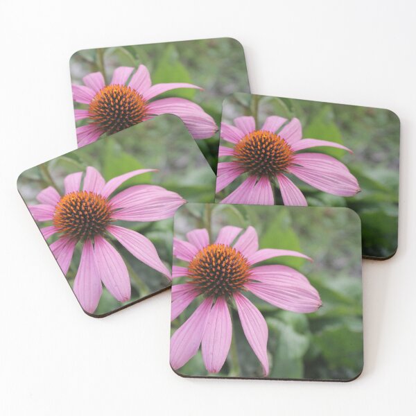 Item preview, Echinacea 2 designed and sold by katelynroseart1.