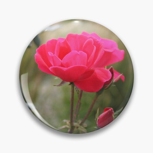Item preview, Rose designed and sold by katelynroseart1.