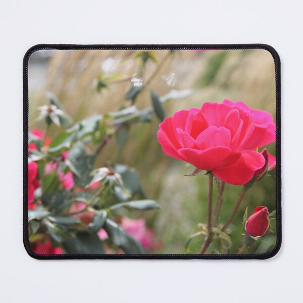 Item preview, Rose designed and sold by katelynroseart1.