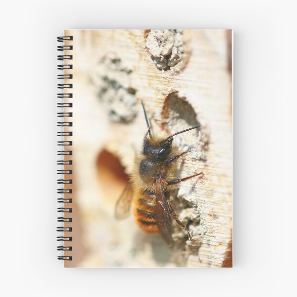 Item preview, Red mason bee on a bug house designed and sold by GreyFeatherPhot.