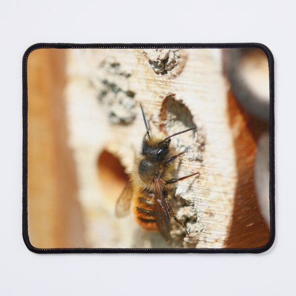 Item preview, Red mason bee on a bug house designed and sold by GreyFeatherPhot.