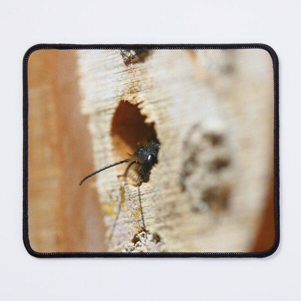 Item preview, Emerging mason bee designed and sold by GreyFeatherPhot.